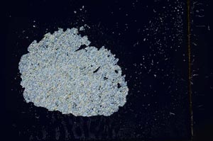 Cross Polarized, S11636