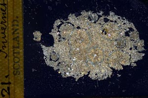 Cross Polarized, S11638