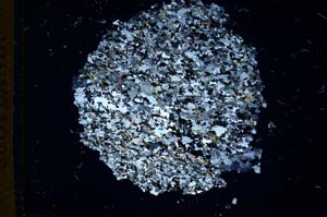 Cross Polarized, S11639