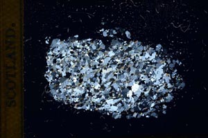 Cross Polarized, S11640