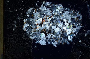 Cross Polarized, S11641