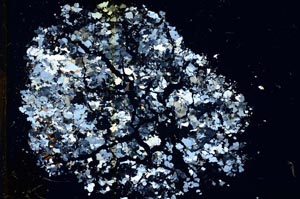 Cross Polarized, S11642