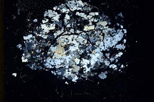 Cross Polarized, S11643