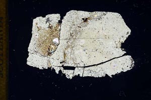 Cross Polarized, S11647