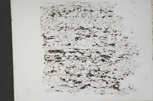 Plane Polarized, S11653