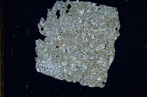 Cross Polarized, S11656