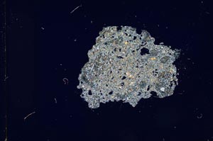 Cross Polarized, S11657