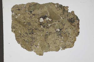 Plane Polarized, S11659