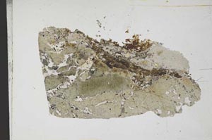 Plane Polarized, S11661