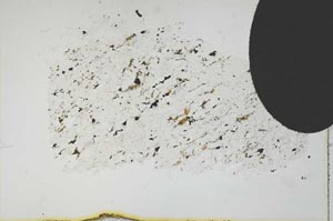 Plane Polarized, S11666