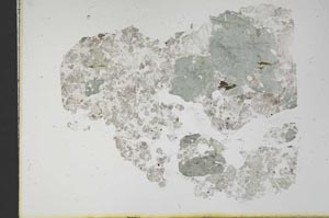 Plane Polarized, S11672