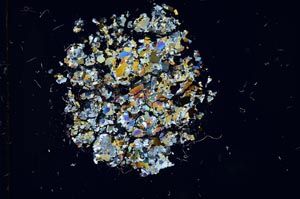 Cross Polarized, S11674