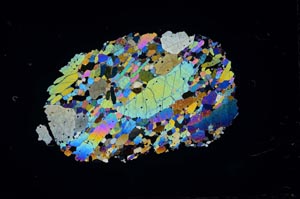 Cross Polarized, S11676