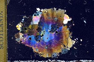 Cross Polarized, S11677