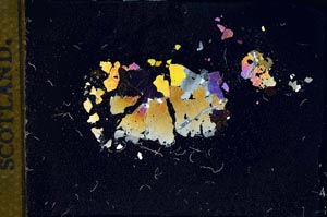 Cross Polarized, S11678