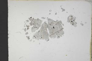 Plane Polarized, S11678