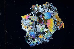 Cross Polarized, S11679