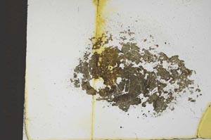 Plane Polarized, S11684