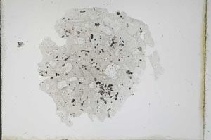 Plane Polarized, S11689