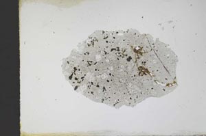 Plane Polarized, S11690