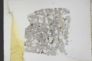 Plane Polarized, S11691