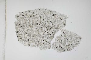 Plane Polarized, S11696