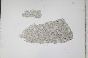 Plane Polarized, S11702