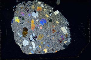 Cross Polarized, S11703