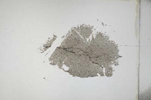 Plane Polarized, S11705