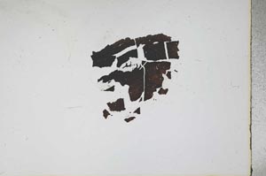 Plane Polarized, S11707