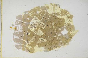 Plane Polarized, S11711