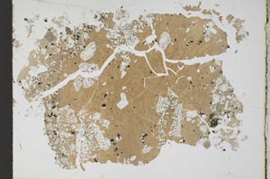 Plane Polarized, S11713
