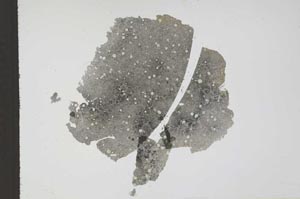 Plane Polarized, S11717