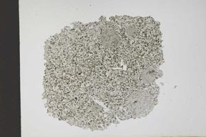Plane Polarized, S11718