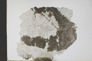 Plane Polarized, S11720
