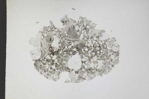 Plane Polarized, S11722