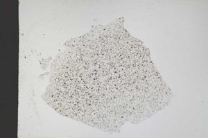 Plane Polarized, S11723