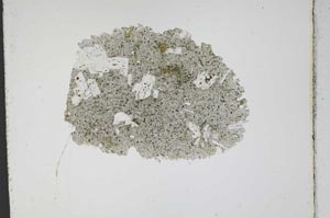 Plane Polarized, S11730