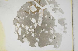 Plane Polarized, S11735