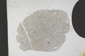Plane Polarized, S11738/A
