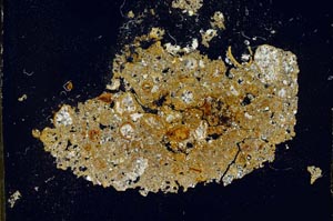 Cross Polarized, S11748