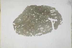 Plane Polarized, S11768