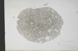 Plane Polarized, S11769