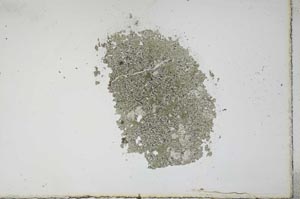 Plane Polarized, S11771