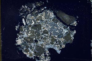 Cross Polarized, S11778