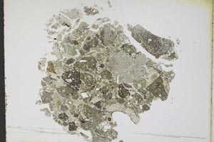 Plane Polarized, S11778