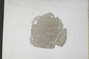 Plane Polarized, S11782