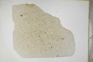 Plane Polarized, S11786