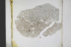 Plane Polarized, S11788