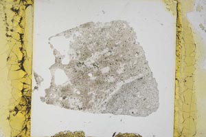 Plane Polarized, S11788/A